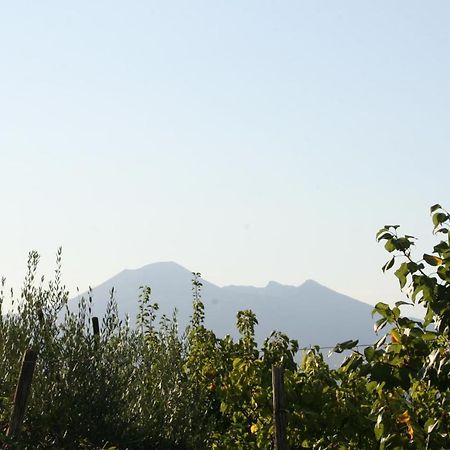 Agriturismo A Do' Cumparone Corbara  エクステリア 写真