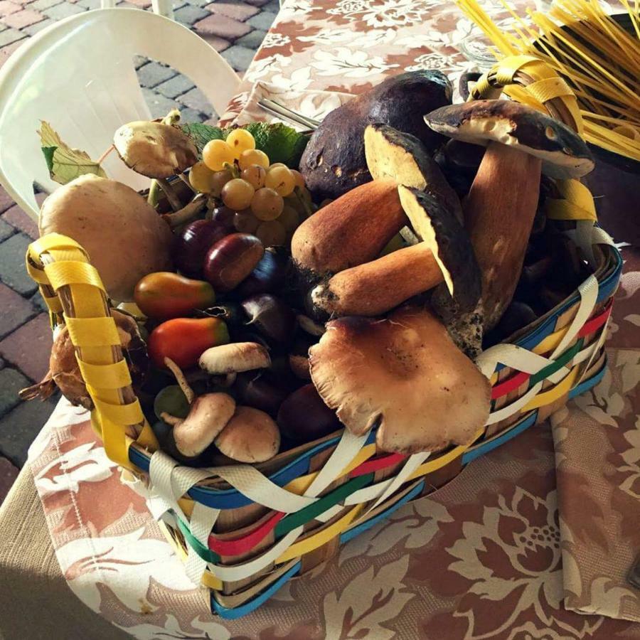 Agriturismo A Do' Cumparone Corbara  エクステリア 写真