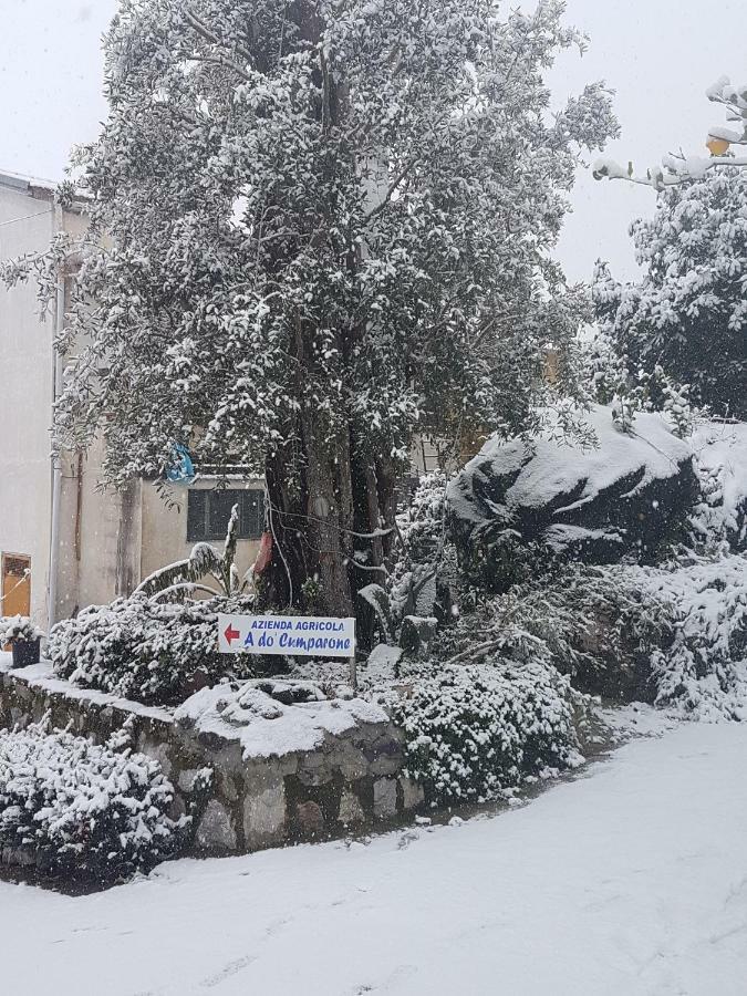 Agriturismo A Do' Cumparone Corbara  エクステリア 写真