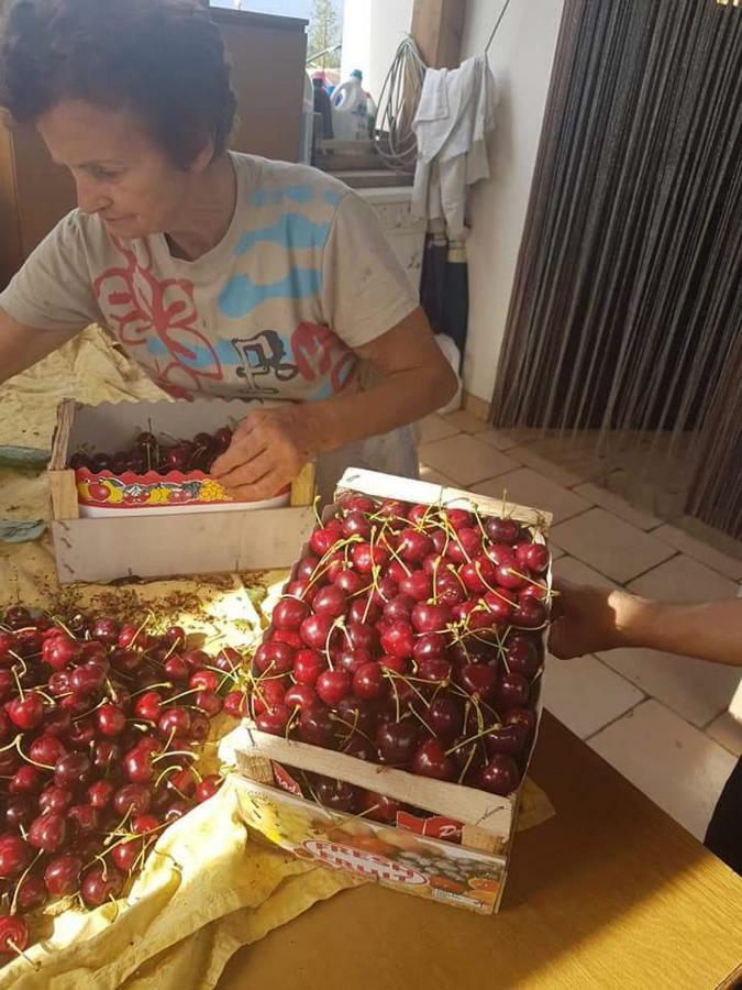 Agriturismo A Do' Cumparone Corbara  エクステリア 写真
