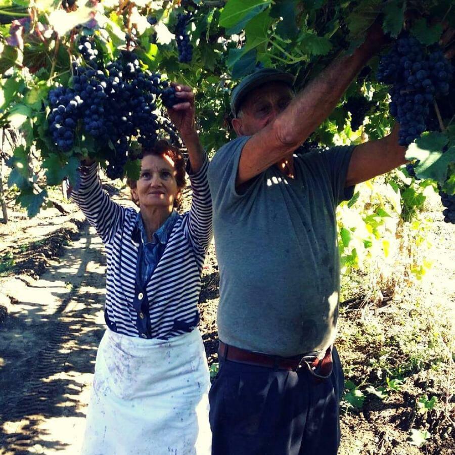 Agriturismo A Do' Cumparone Corbara  エクステリア 写真