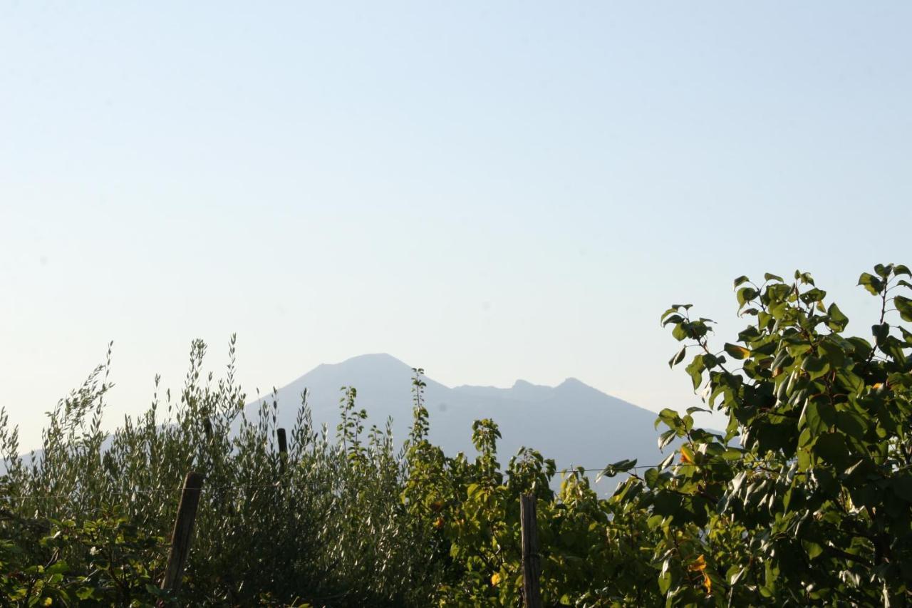 Agriturismo A Do' Cumparone Corbara  エクステリア 写真