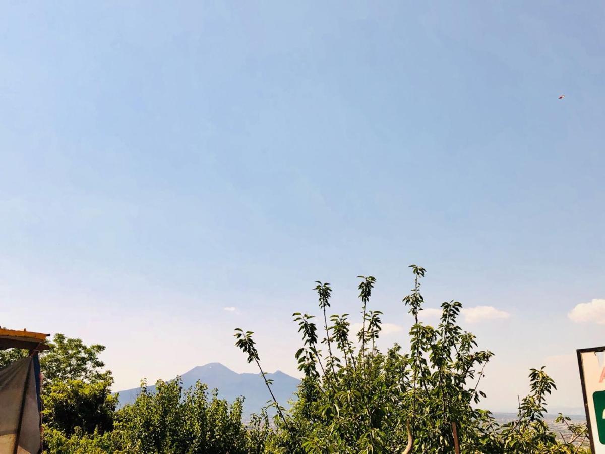 Agriturismo A Do' Cumparone Corbara  エクステリア 写真
