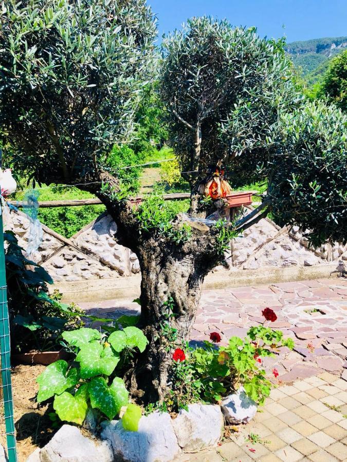 Agriturismo A Do' Cumparone Corbara  エクステリア 写真